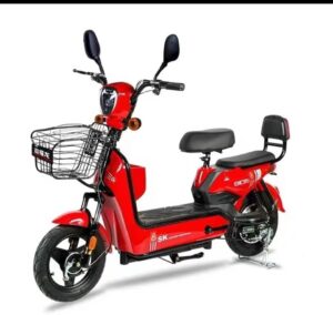 Moto Eléctrica SK