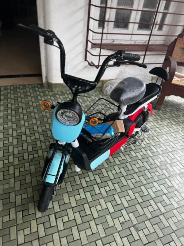 Moto eléctrica