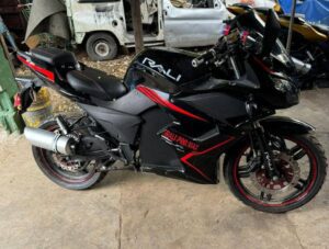 Moto eléctrica Raly
